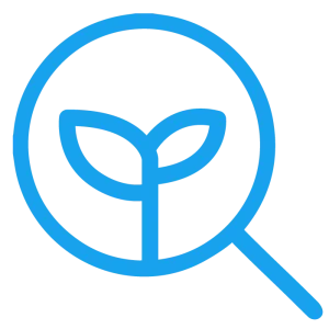 Business Blogging Services